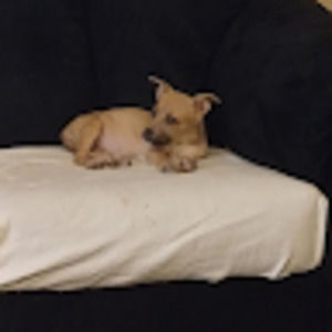 Meet your Posher, Christine